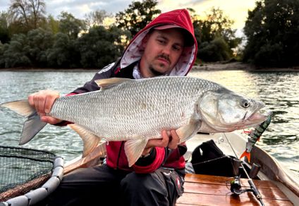 Fishus Cerberus Lite