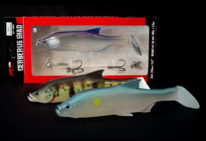 Fishus Cerberus Shad