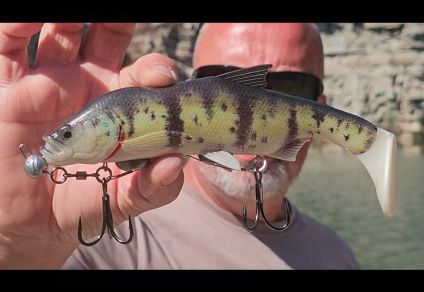 Fishus Cerberus Shad