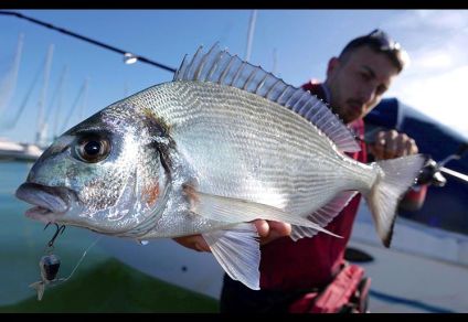 Fishus Esparrall Metal Vib