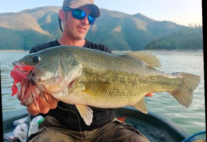 Fishus Mojo Craw TPE
