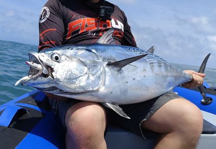 Fishus Espetit Sandeel