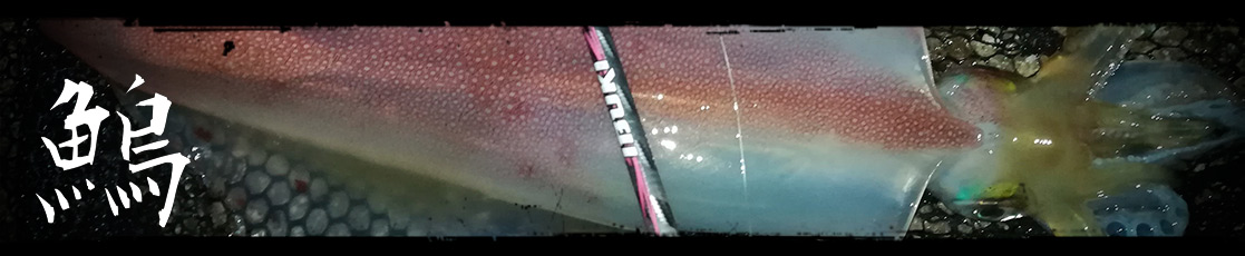 Fishus Lures : Esche per calamari