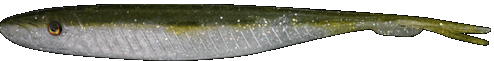 Fishus Espetit Soft Jerk -OS - Olive Shad