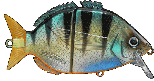 Fishus Esparrall -PE - Perch