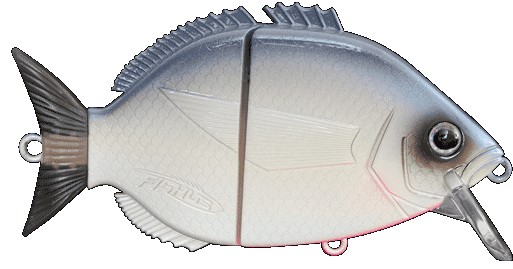 Fishus Esparrall -UB - UV Bone