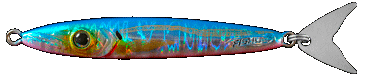 Fishus Espejig - PB - Pink Blue Fishus Espejig -PB - Pink Blue