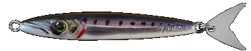 Fishus Espejig -SD - Sardine