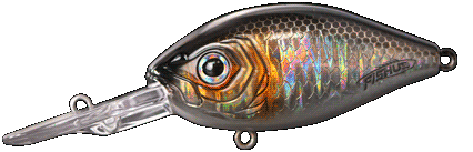 Fishus Assault Crank MR -SS - Shine Shad