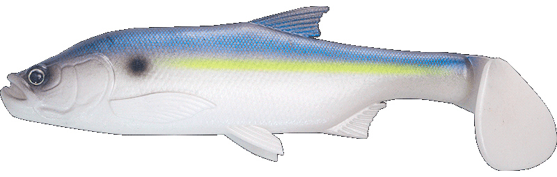 Fishus Cerberus Shad -HR - Herring