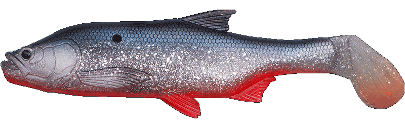 Fishus Cerberus Shad -RB - Red Belly Herring