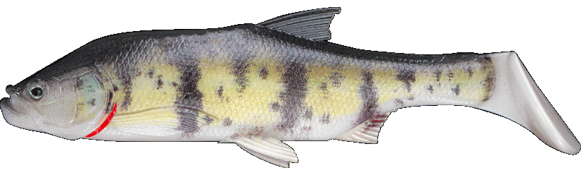 Fishus Cerberus Shad -VZ - Volga Zander