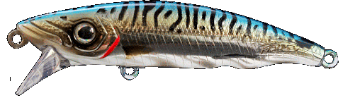 Fishus Espetit Heavy -MA - Mackerel