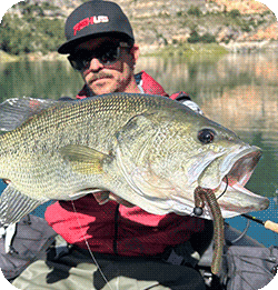 @fishing_boss_4.0_